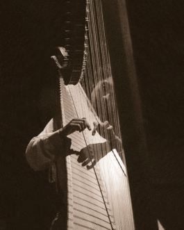 William Tsukuda